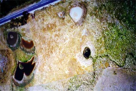 Aerial during the dry